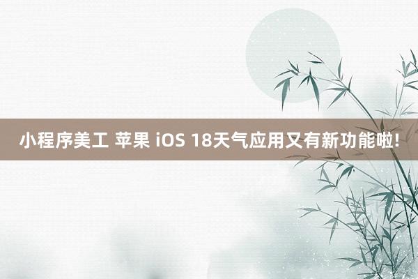 小程序美工 苹果 iOS 18天气应用又有新功能啦!