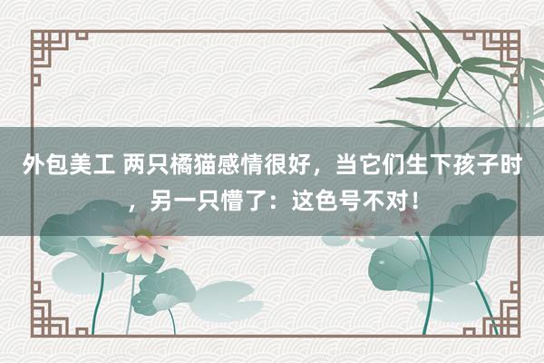 外包美工 两只橘猫感情很好，当它们生下孩子时，另一只懵了：这色号不对！