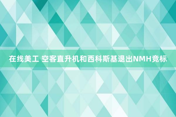 在线美工 空客直升机和西科斯基退出NMH竞标